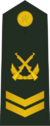 PLAGF-0706-4CSGT.png