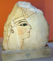 Ramesses VI was an uncle of Ramesses V. He usurped his predecessors throne and later his tomb, KV9.