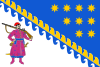 علم أبلاست دنپروپتروڤسك Dnipropetrovsk Oblast