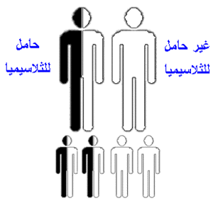 Thalassemia1.gif