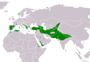Gyps fulvus distribution map.png
