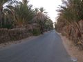 طريق وسط واحة قبلي