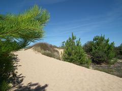 رمال الكثبان الرملية في Île d'Oléron ( شارينت ماريتيم )