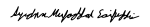 Mufaddal saifuddin signature english.svg
