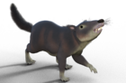 Cronopio dentiacutus