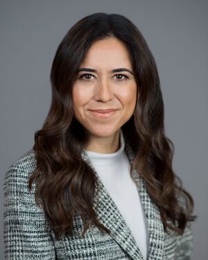 Lana Zaki Nusseibeh.jpg