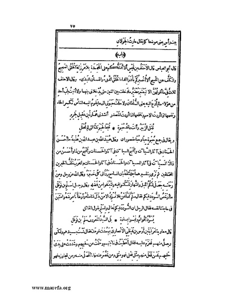 ملف:الكامل في اللغة والأدب.pdf