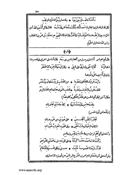 ملف:الكامل في اللغة والأدب.pdf