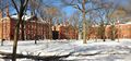 The Yard in winter