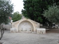 Maayan0278.jpg