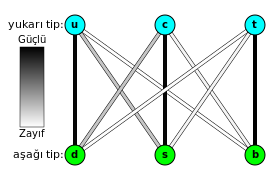 ملف:Quark weak interactions-tr.svg