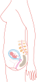 الشهر الثالث