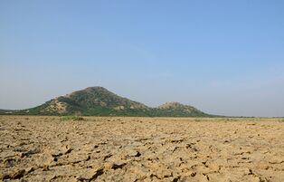 Mount Karo, كوتش