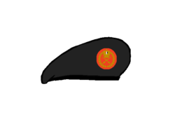 Artillery General Beret - Egyptian Army.png
