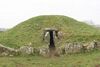 BrynCelliDdu3.jpg