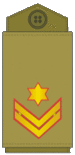 OR9 IDF Rav-Samal Bachir.gif