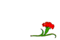 Rebels' Flag during Prince Ibrahim Era