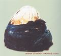 Prophete009.jpg