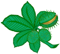 Royal Badge of the Medieval Monarchs of Navarre