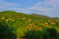 View of Parthenonas village