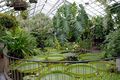 Botanischer Garten