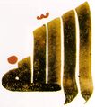 الخط الكوفي المغربي