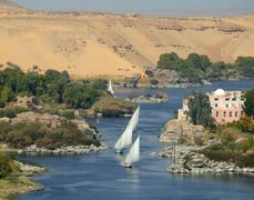 فلايك في أسوان.