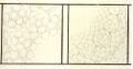 Medieval architect's plan of two muqarnas vaults, from the Topkapı Scroll