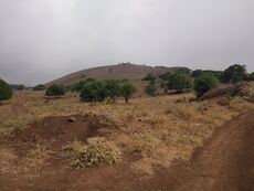 تل الأحمر من طريق الجولان