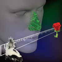 An Electronic Nose Estimates Odor Pleasantness.png