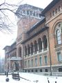Museum of the Romanian Peasant