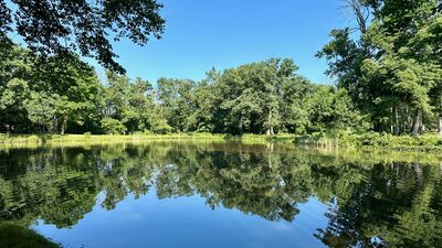 The Institute Pond, created in the 1960s[91]