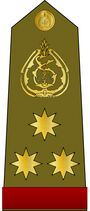 Iraq Army Ranks .12.jpg