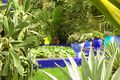 Maroc Marrakech Majorelle Luc Viatour 17.jpg