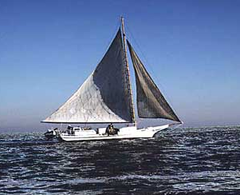Skipjack EPA.PNG