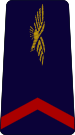 French Air Force-aviateur de première classe.svg