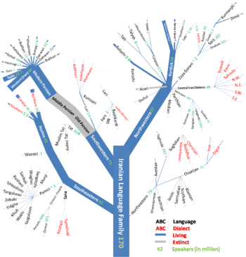Iranian Family Tree v2.0.png