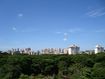 8, Ribeirão Preto