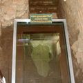 Exact birthplace of Gautama Buddha