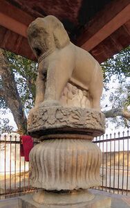 Sankissa elephant.