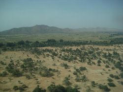 سهل "جوز بيضة".