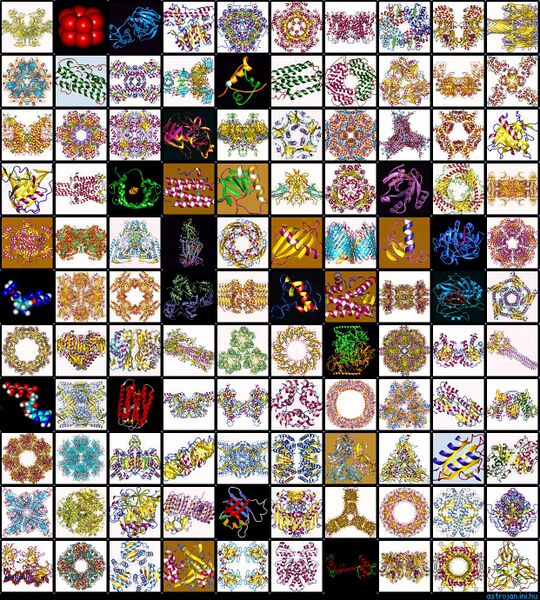 ملف:Protein mosaic.jpg