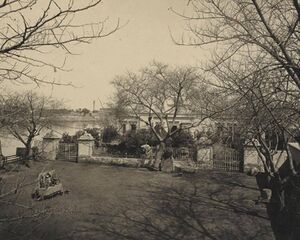 إفتتاح متحف بولاق للآثار 2.jpeg