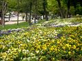 Alaeddin Hill Park