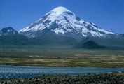 Sajama