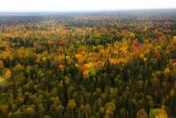 Yuganskiy nature reserve aerial view.jpg