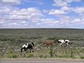Santa Cruz Province, Argentina