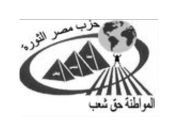 حزب مصر الثورة.jpg