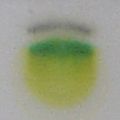 Step 5