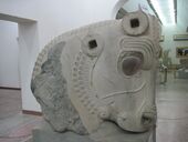 Capital remains of the Apadana palace of Susa located in the museum of Susa